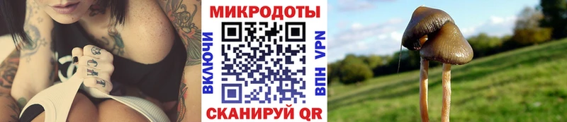 MEGA онион Балей Псилоцибиновые грибы Psilocybine cubensis