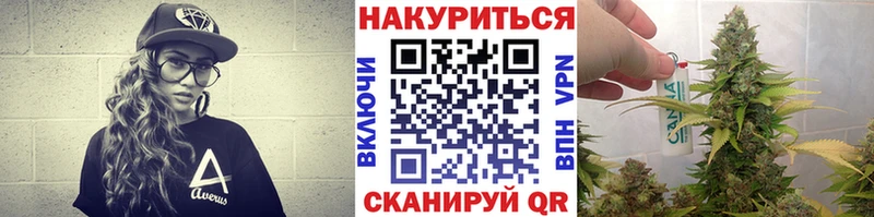 МАРИХУАНА сатива  продажа наркотиков  Балей 